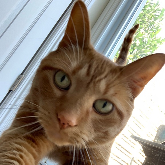 Meet your Posher, Regina - Picture 1 of 1